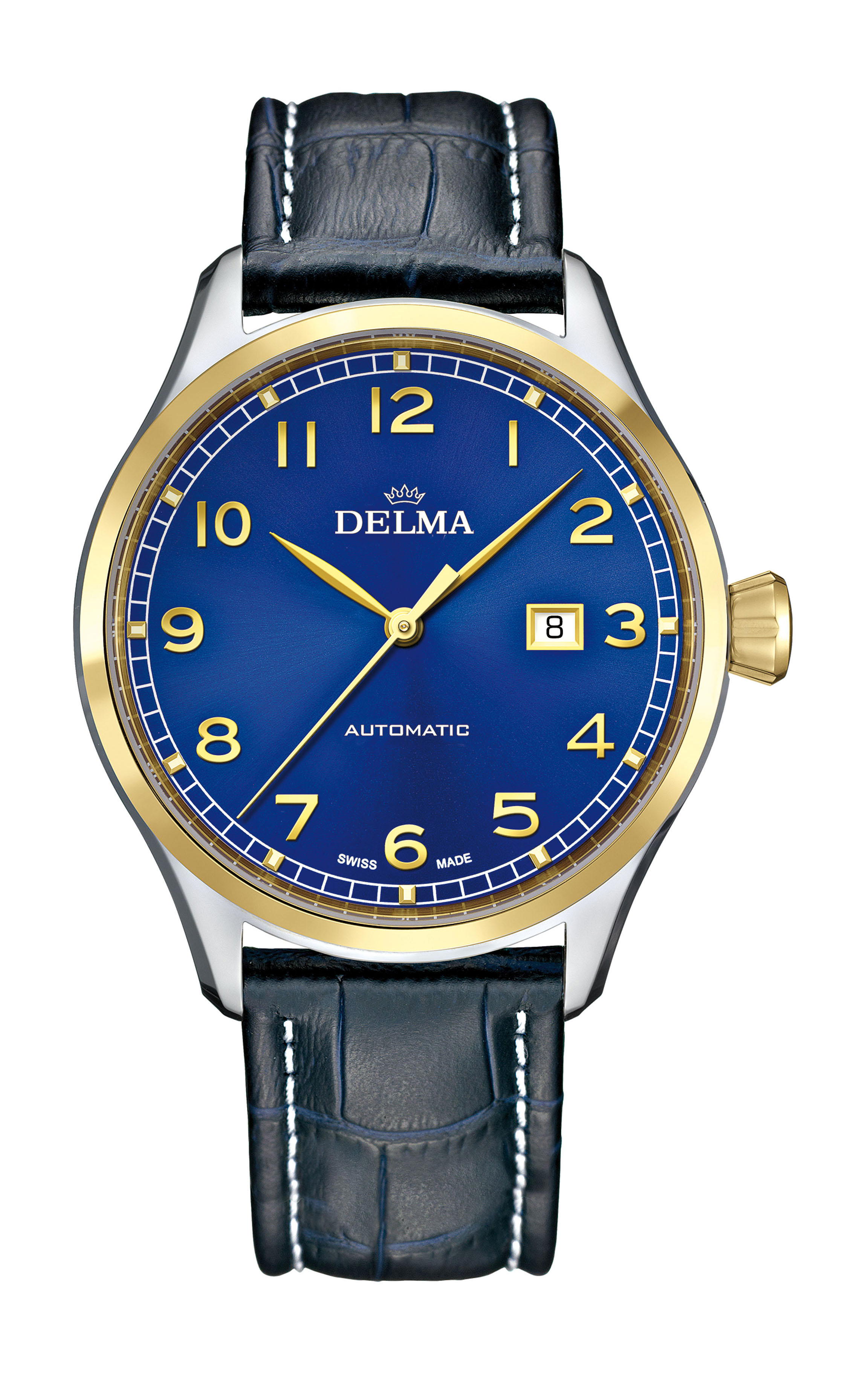 Delma Pioneer