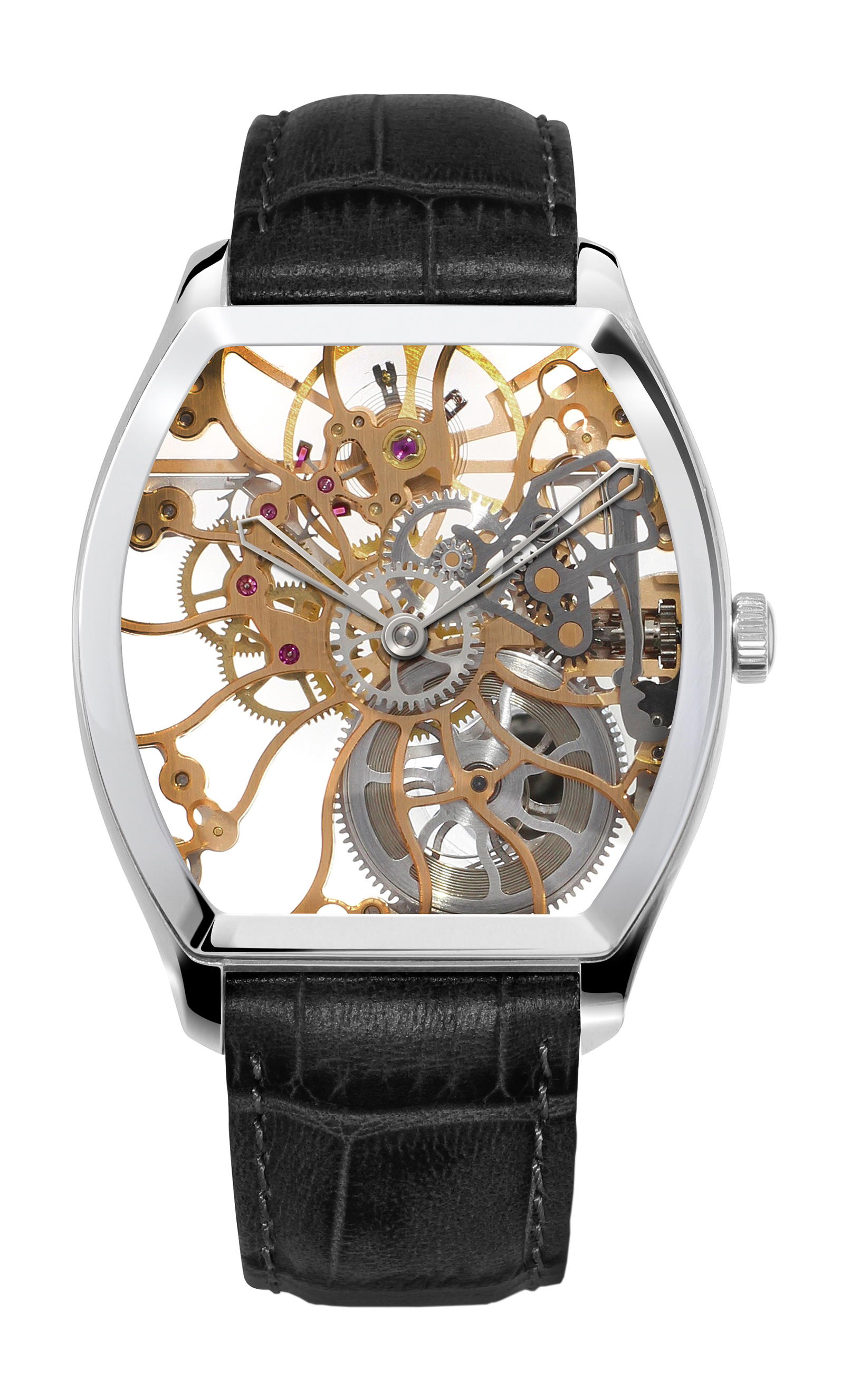 Claude Meylan Tortue