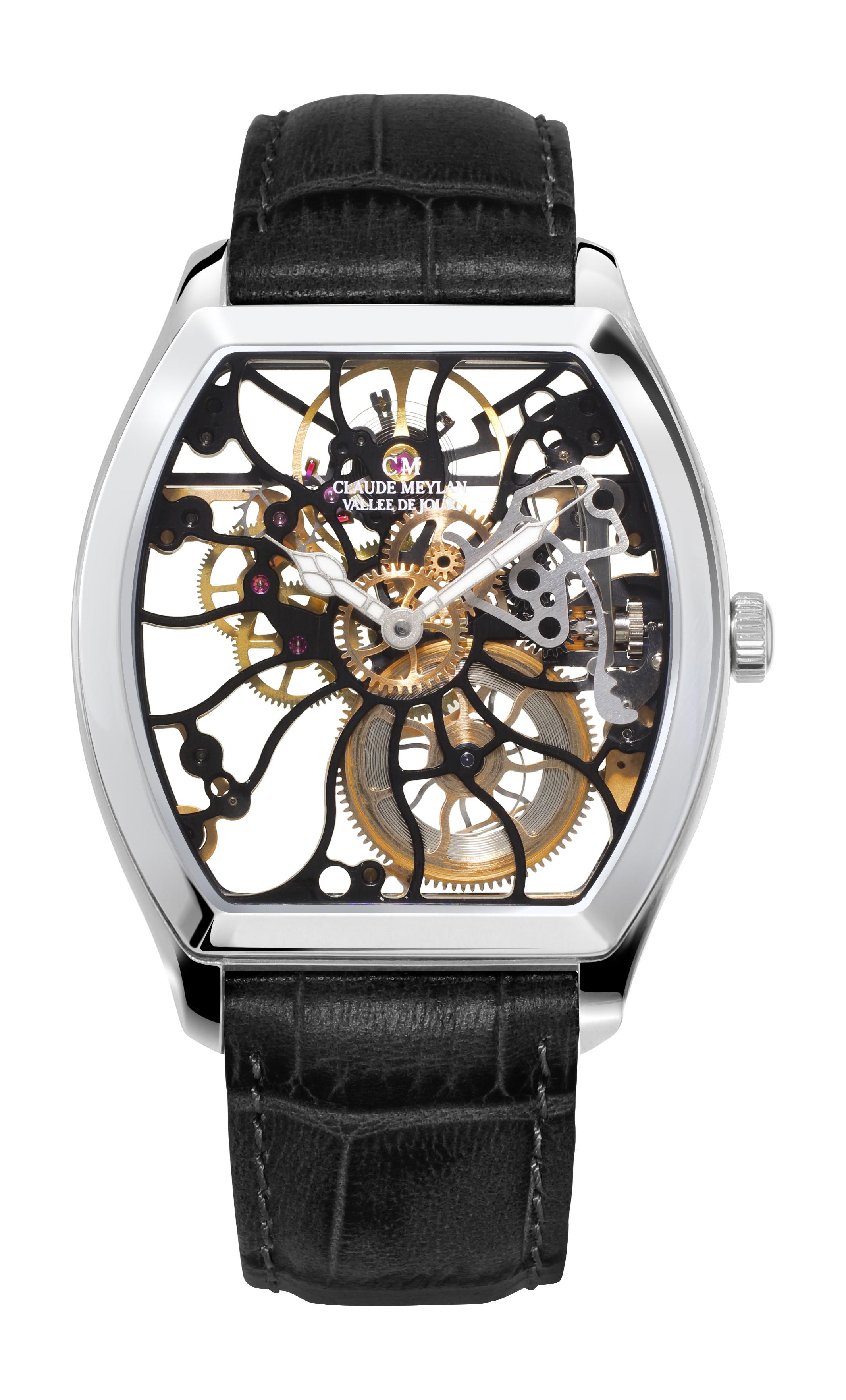 Claude Meylan Tortue