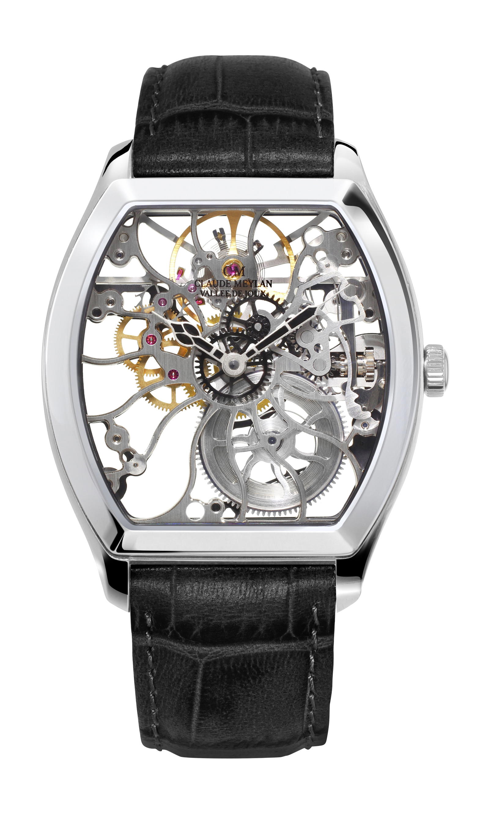 Claude Meylan Tortue