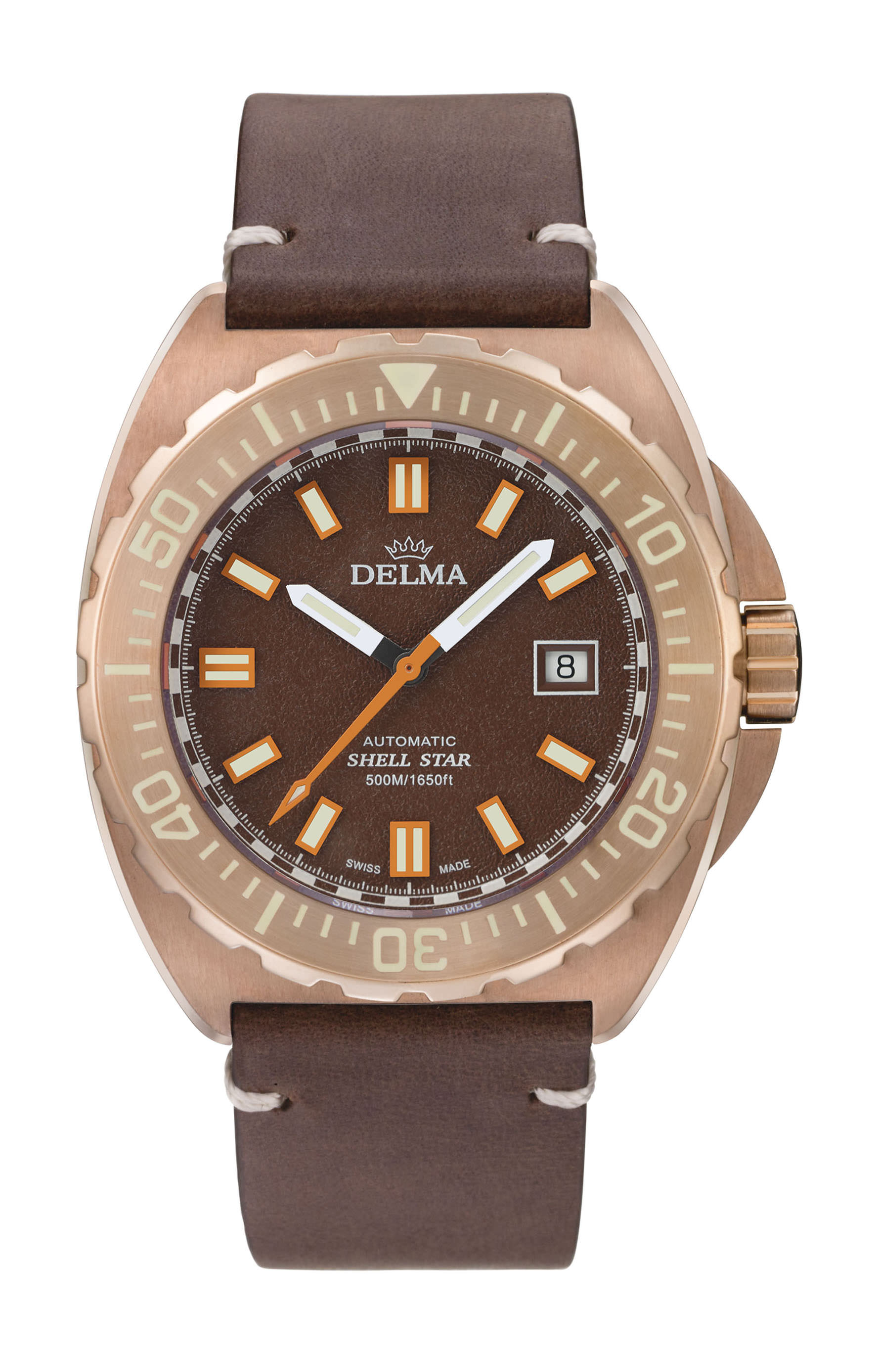 Delma Shell Star Bronze