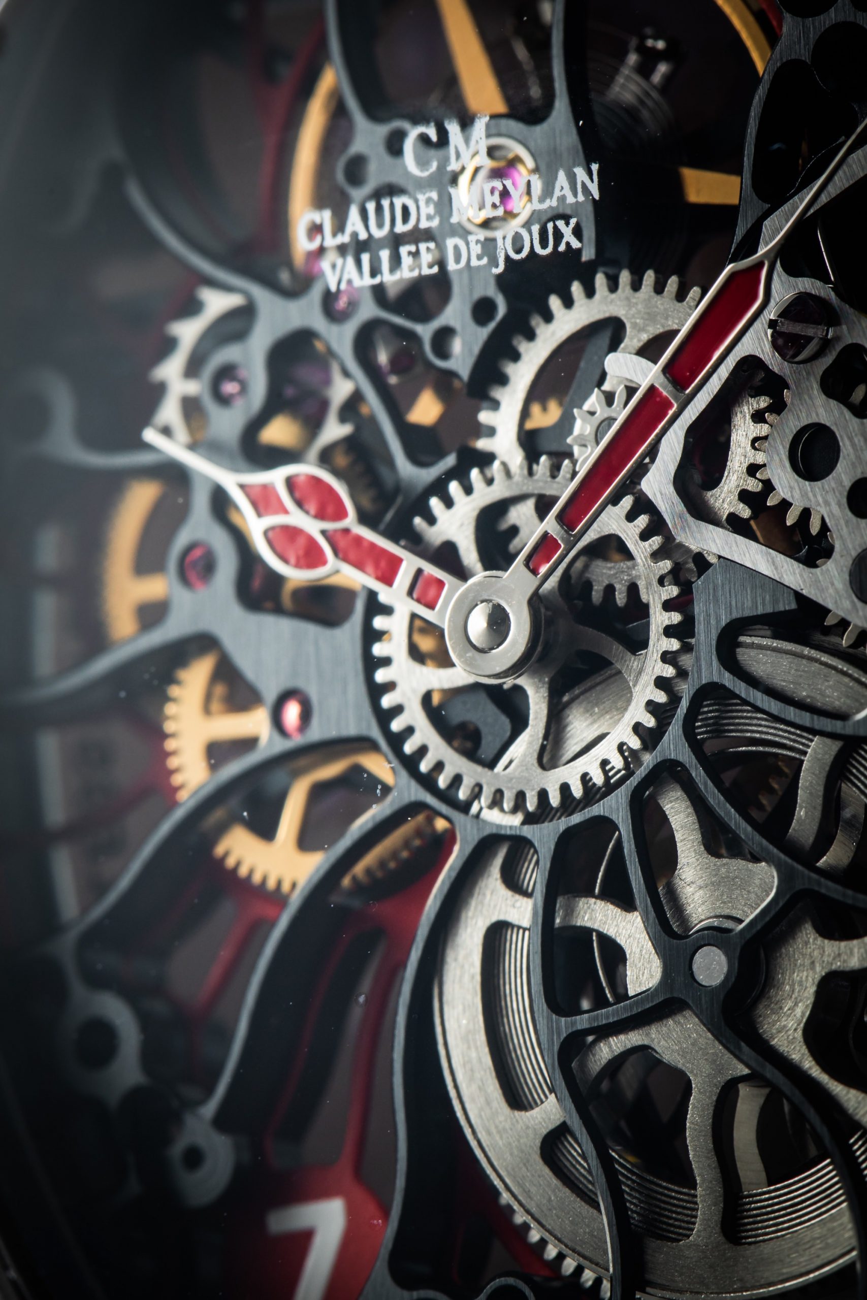 Claude Meylan Tortue Rainbow