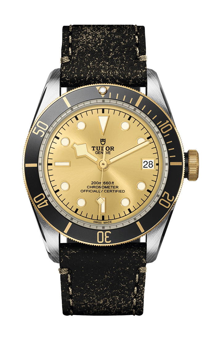 TUDOR Black Bay S&G