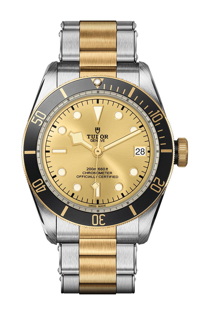 TUDOR Black Bay S&G