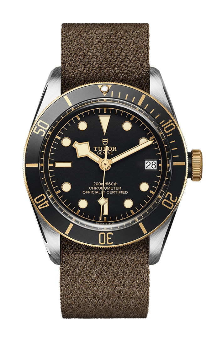 TUDOR Black Bay S&G
