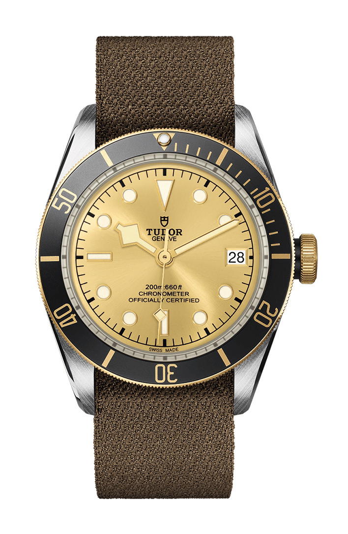 TUDOR Black Bay S&G