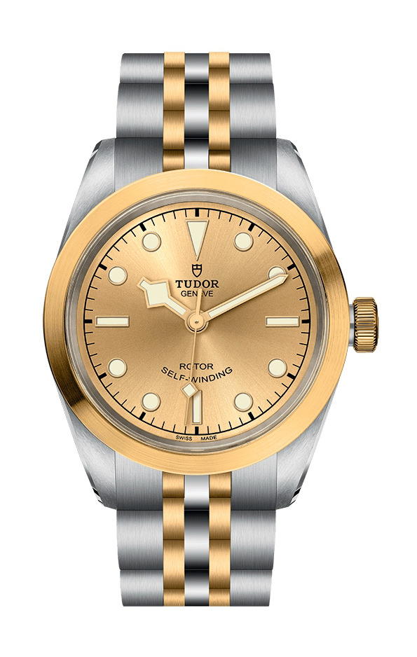 TUDOR Black
  Bay 32 S&G