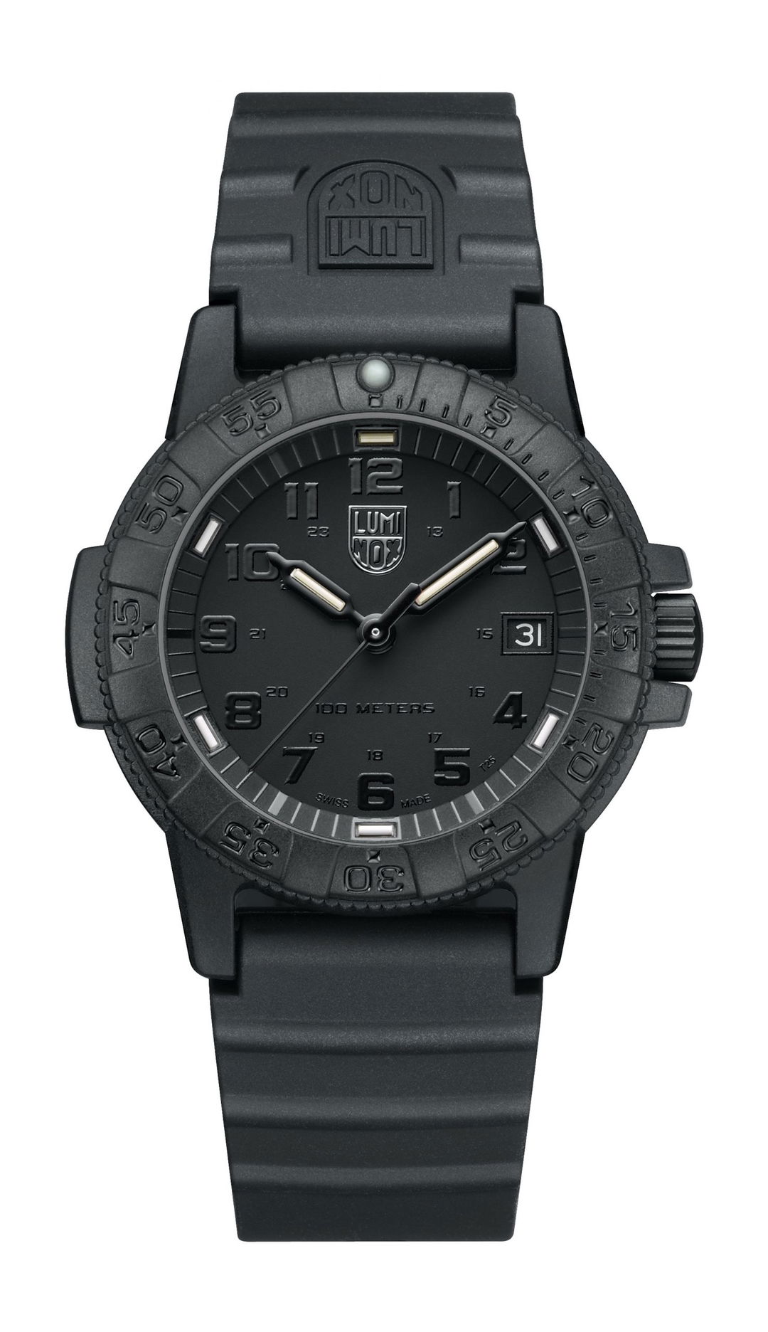 Leatherback Sea Turtle 0300 Series - Image 1