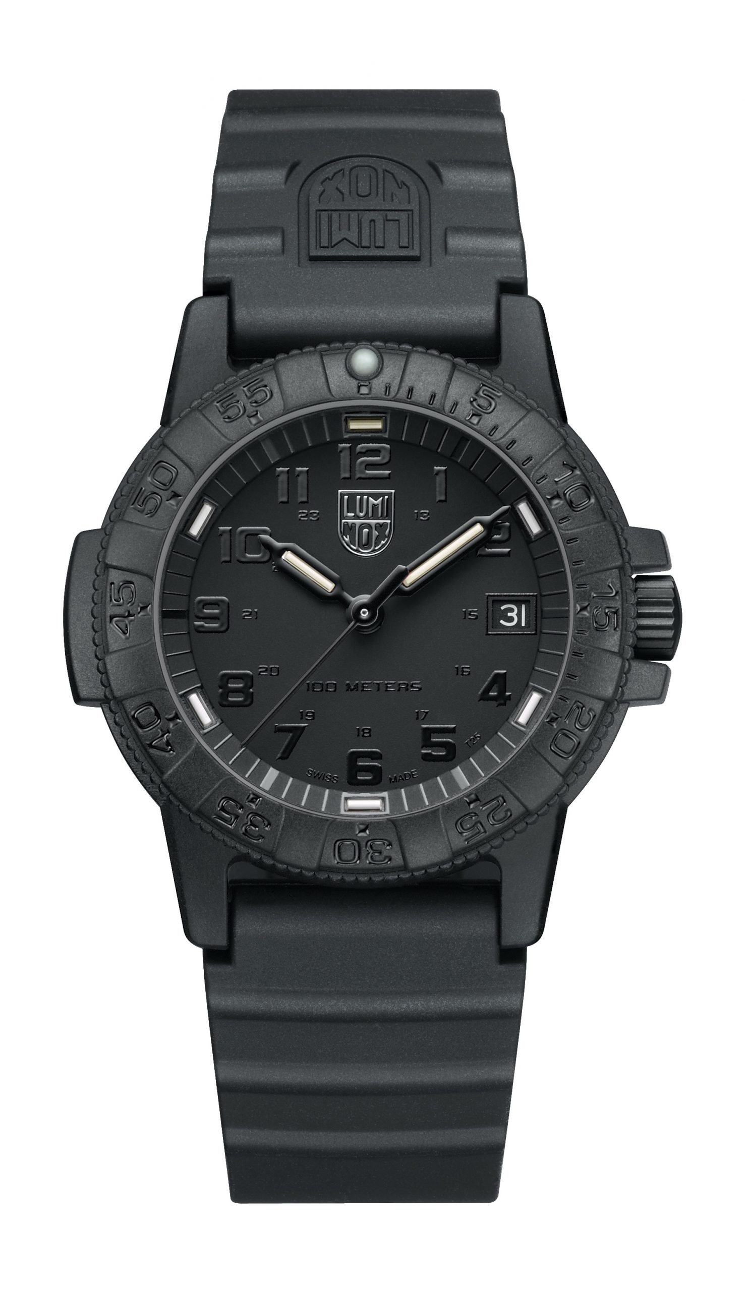 Leatherback Sea Turtle 0300 Series
