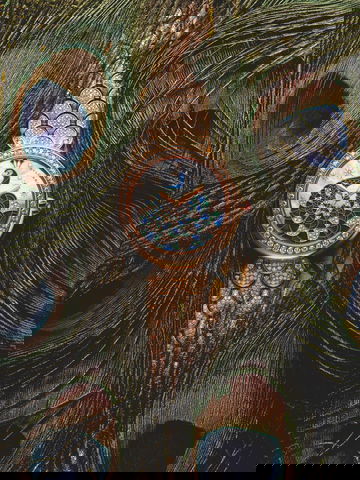 Bvlgari Divas’ Dream Peacock Diamonds