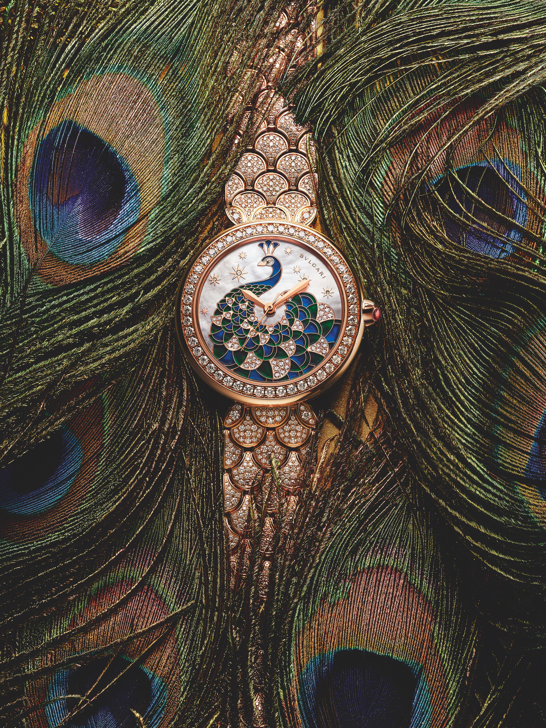 Bvlgari Divas' Dream Peacock Diamonds