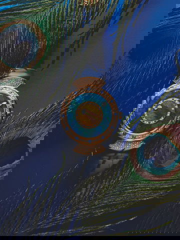 Bvlgari Divas’ Dream Peacock Dischi