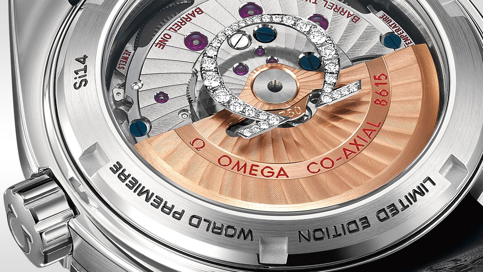 Omega Seamaster Planet Ocean 600M Co-Axial Chronometer GMT 43.5 mm