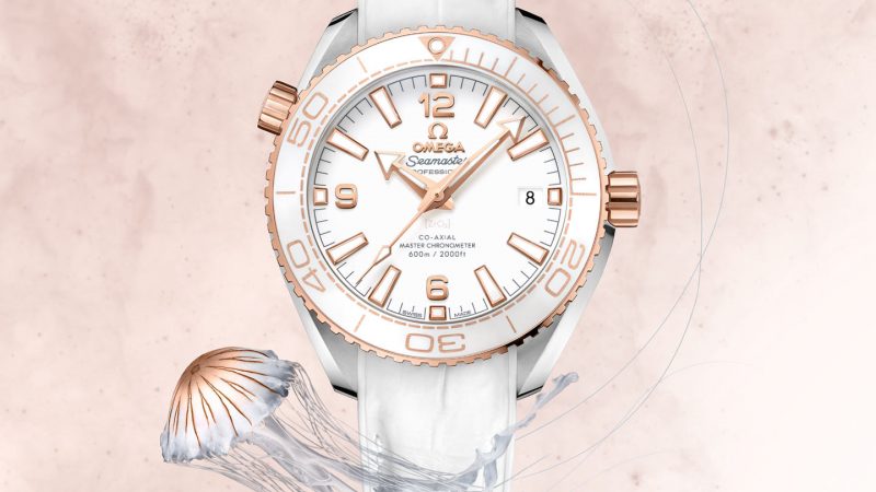Omega Seamaster Planet Ocean 600M Co 