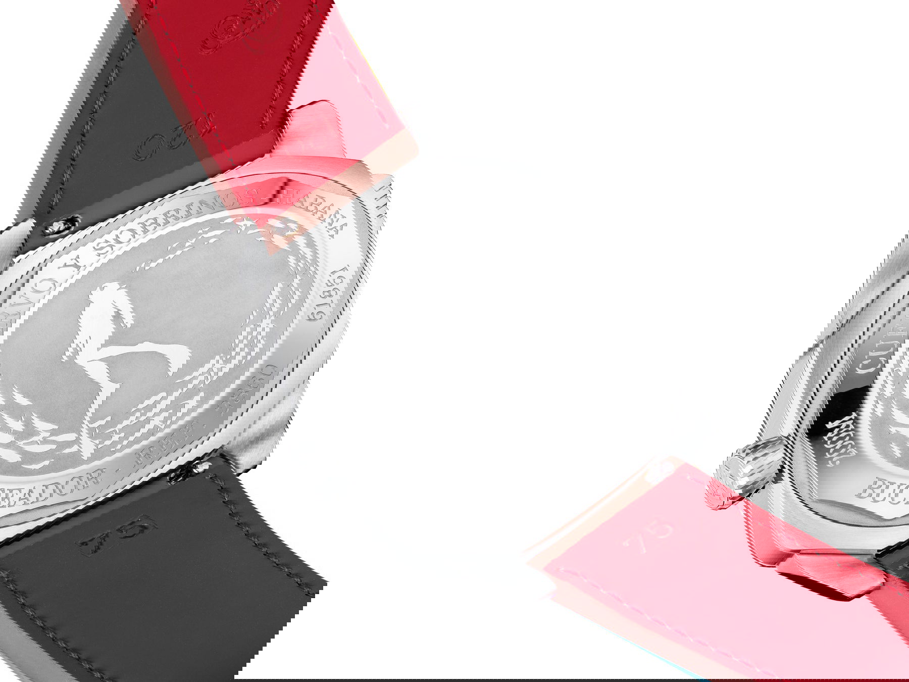 Cuervo y Sobrinos Buceador Caribe Cayo Coco