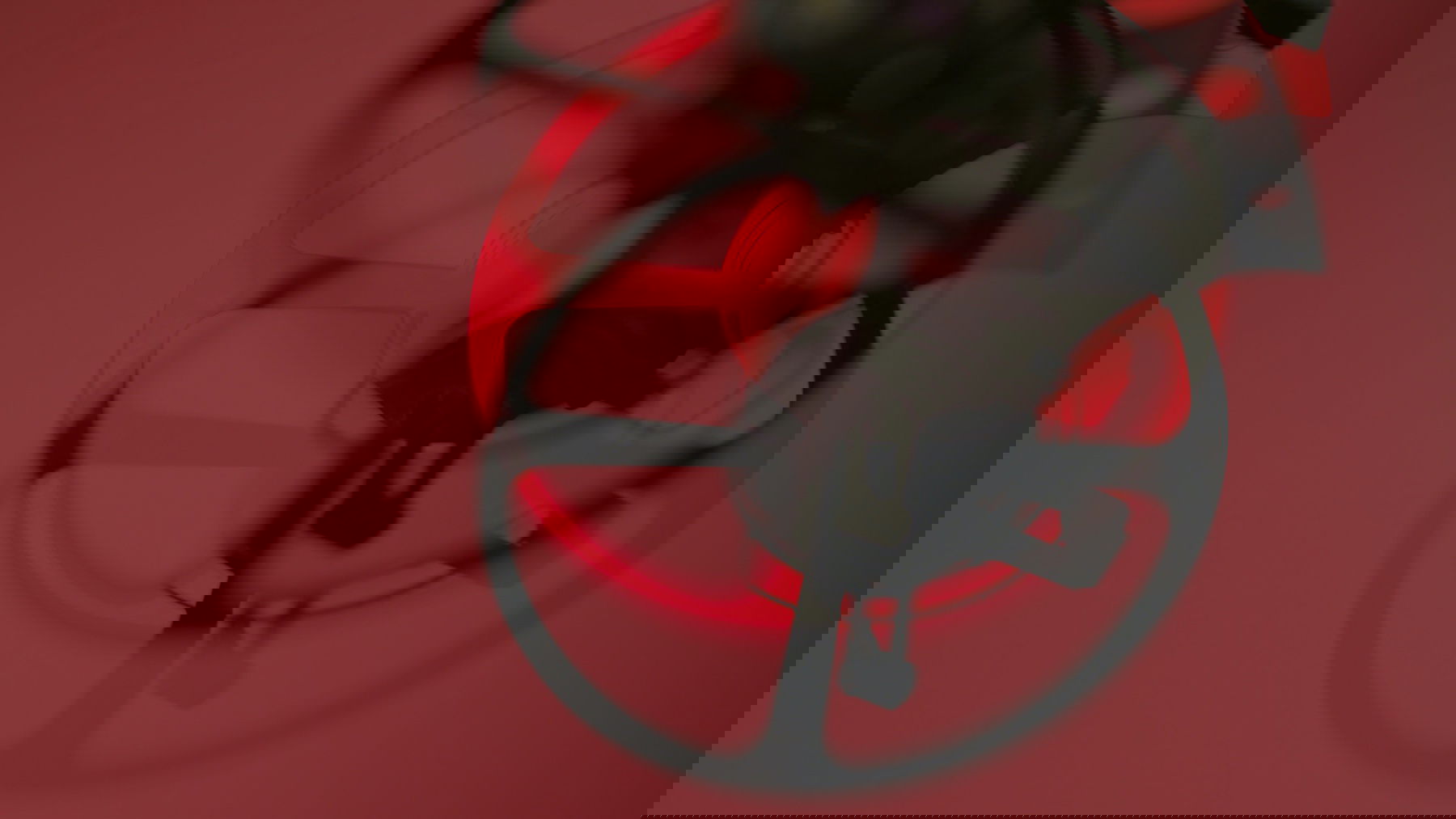 Oris Big Crown Hölstein Edition 2021