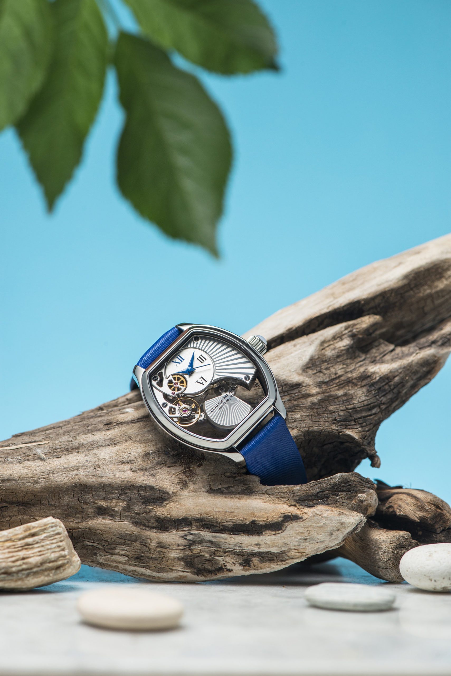 Tortue Lady Blue Moon - Image 2