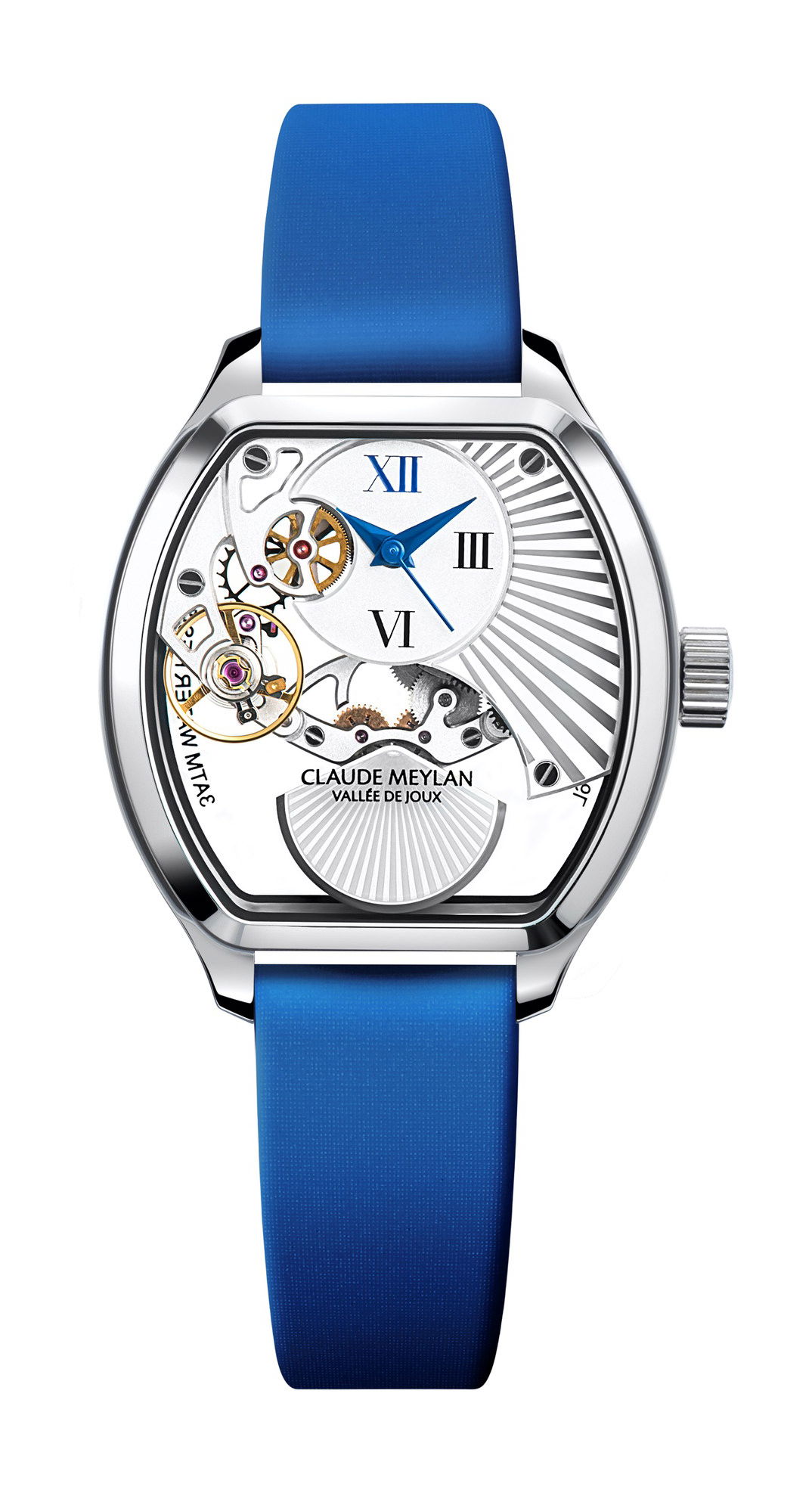 Tortue Lady Blue Moon - Image 1
