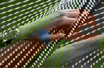 Eberhard &amp; Co Scientigraf