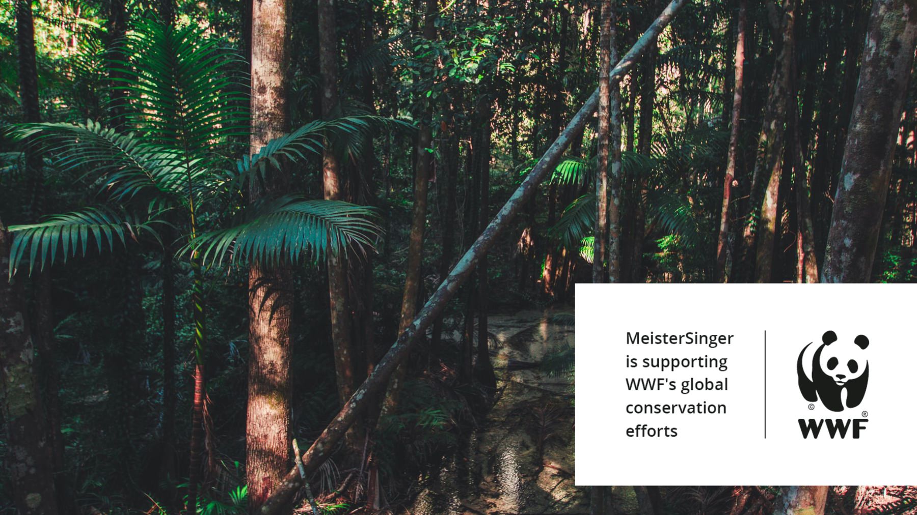 MeisterSinger Planet Earth Limited Edition