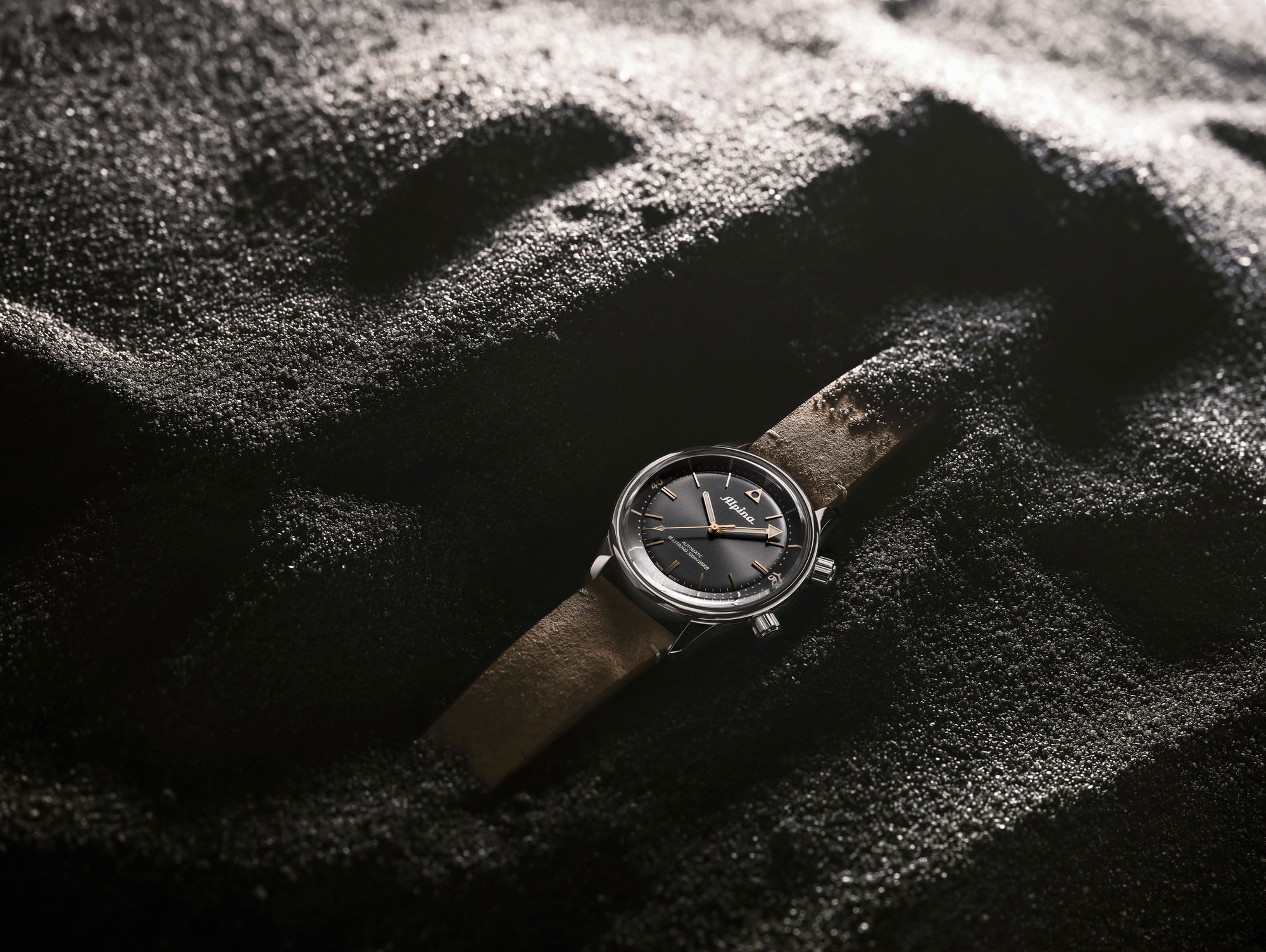 Alpina Seastrong Diver 300 Heritage Automatic