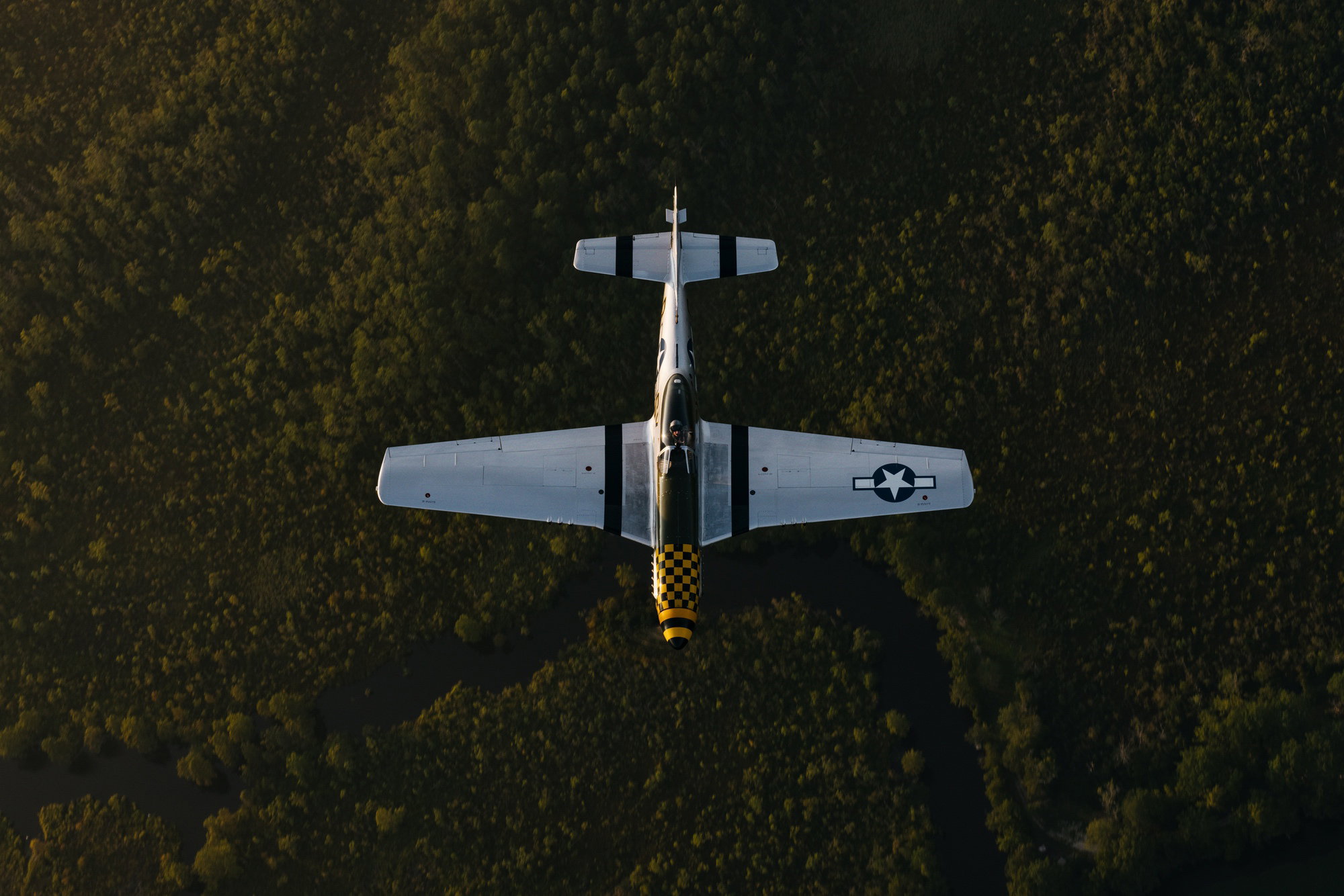 Super AVI B04 Chronograph GMT 46 P-51 Mustang - Image 6