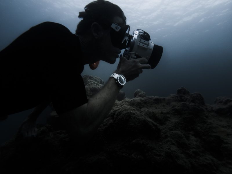 Ulysse Nardin Diver Chronograph &#8220;Great White&#8221;