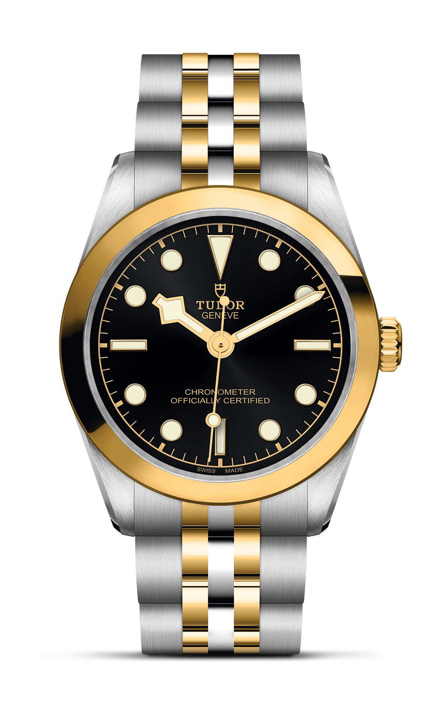 TUDOR Black Bay 31 S&G