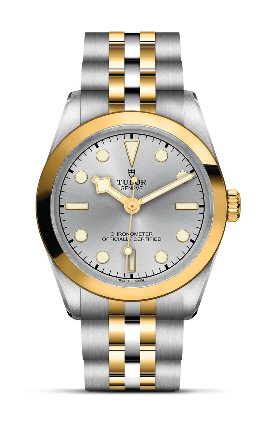 TUDOR Black Bay 31 S&G