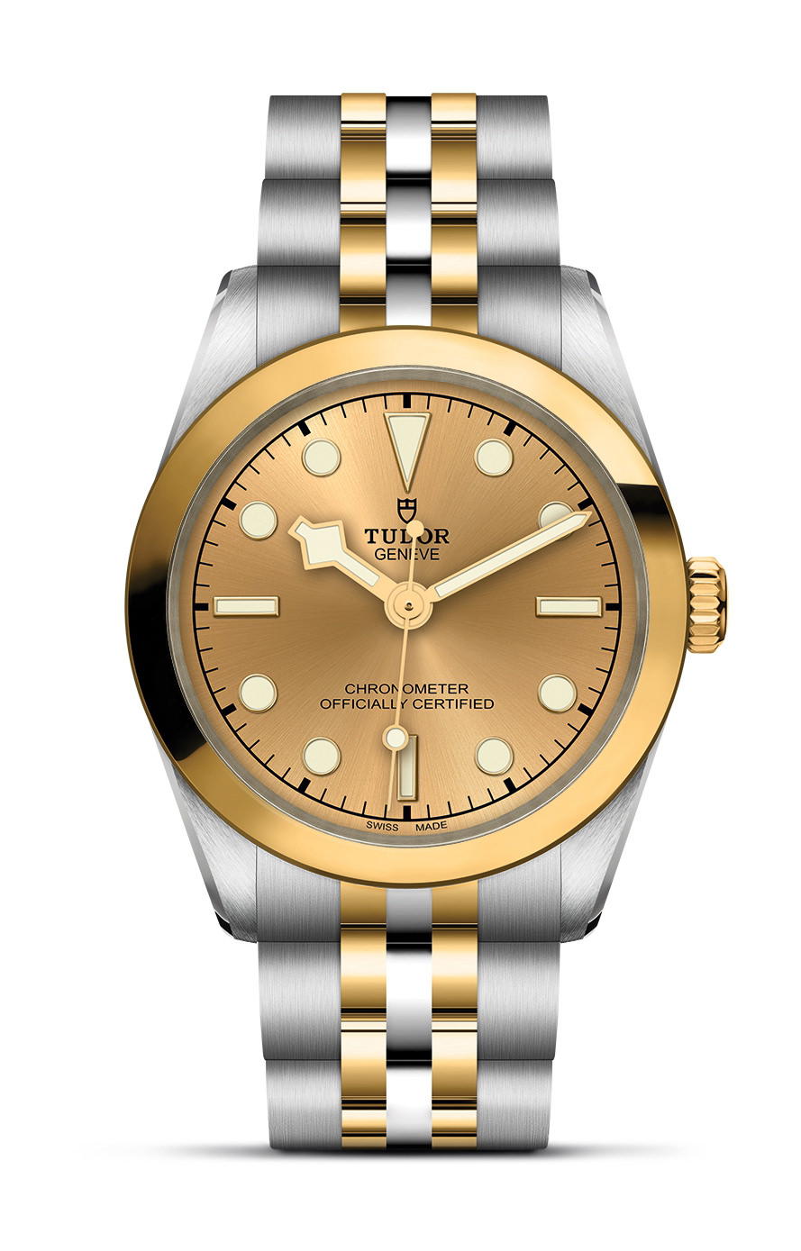 TUDOR Black Bay 31 S&G