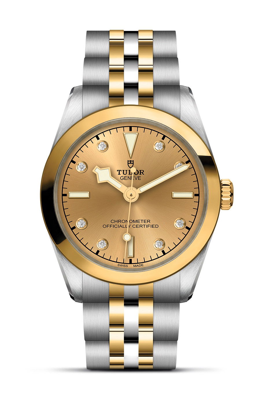 TUDOR Black Bay 31 S&amp;G