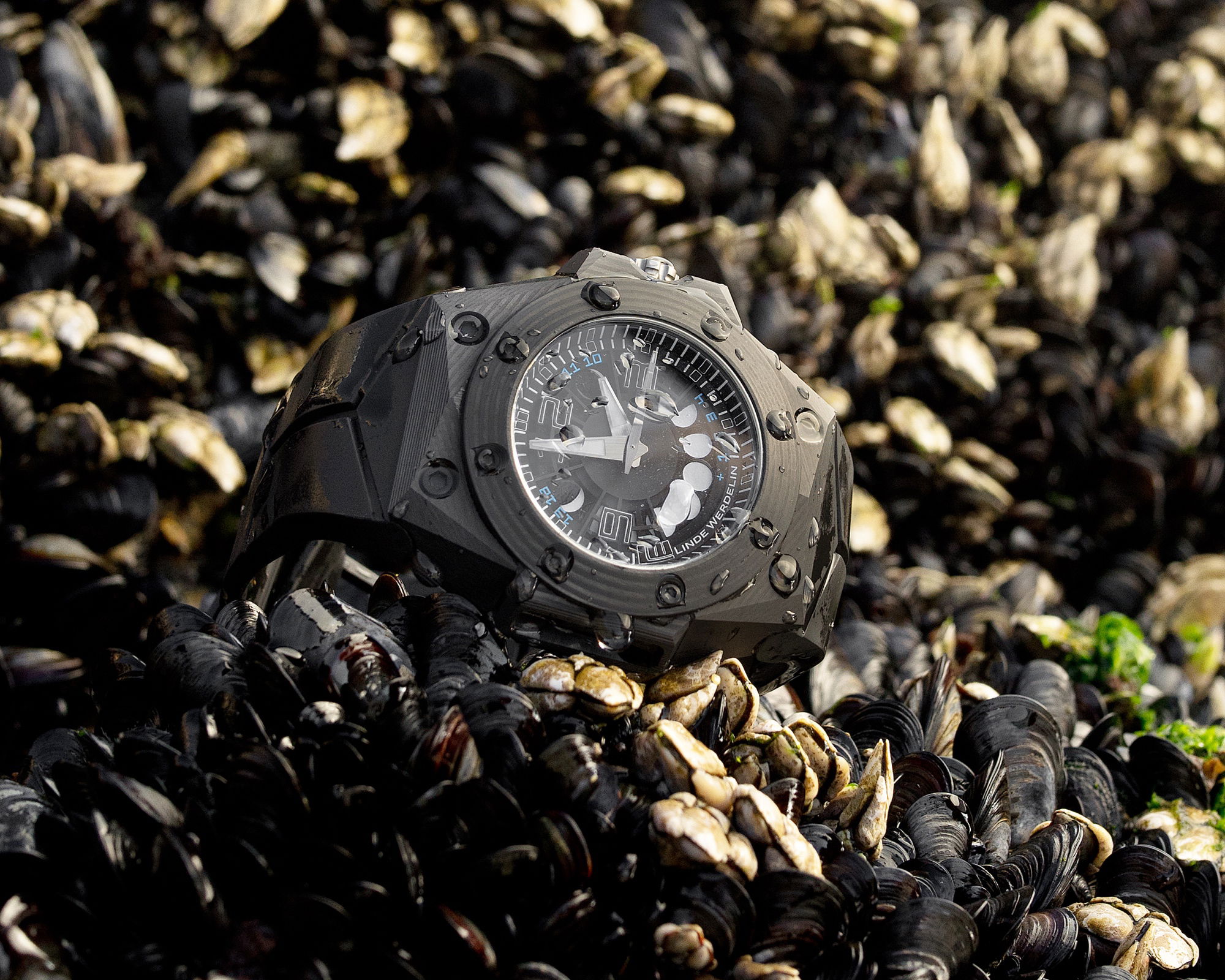 Linde Werdelin Oktopus Moon 3DTP Black Ink
