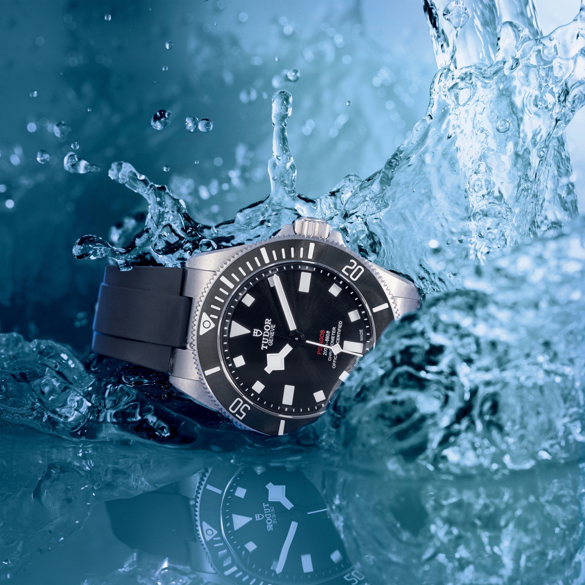 Pelagos 39 - Image 14