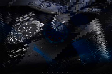 Delma Shell Star Titanium