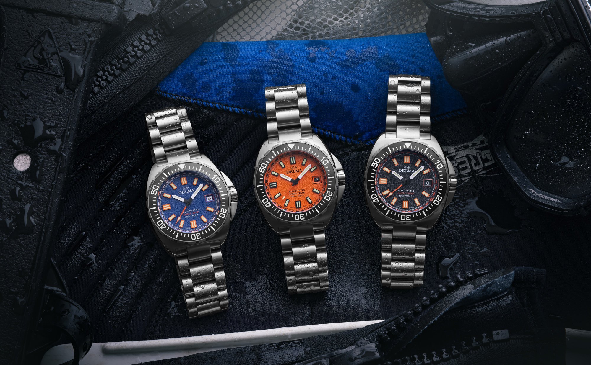 Delma Shell Star Titanium