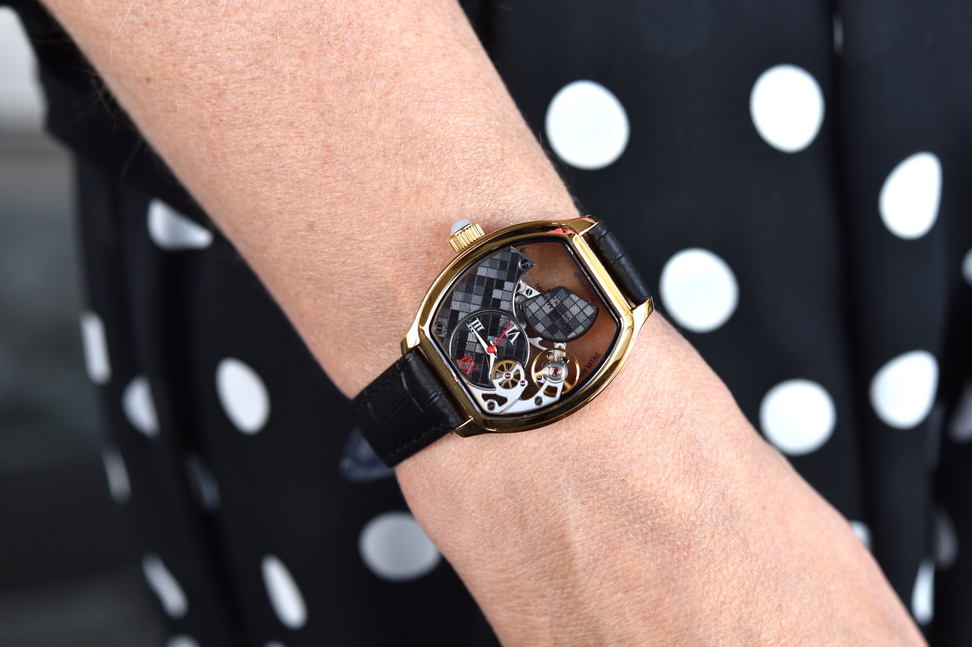 Tortue Lady Damier - Image 4
