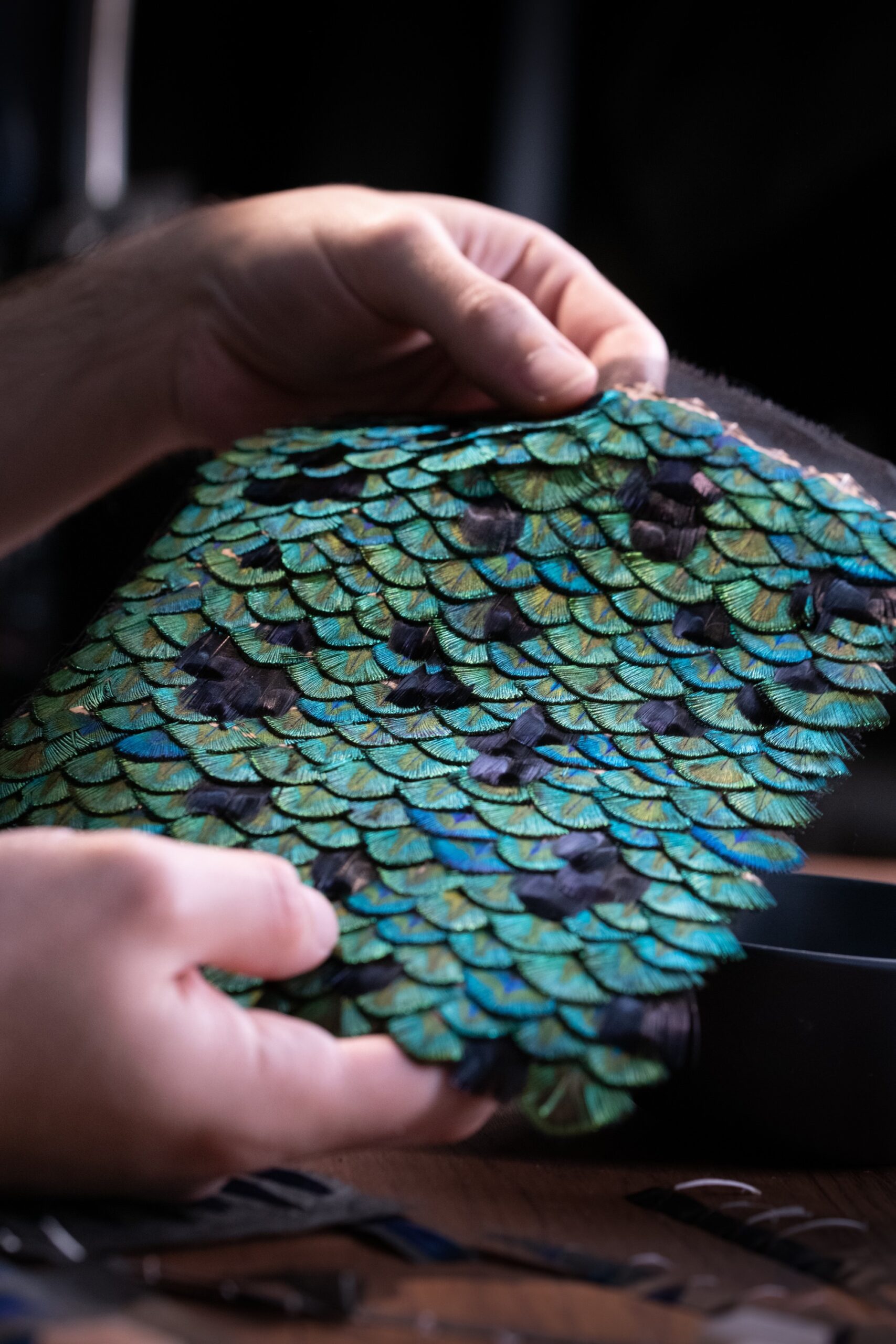 Bvlgari Divas' Dream Peacock Dischi