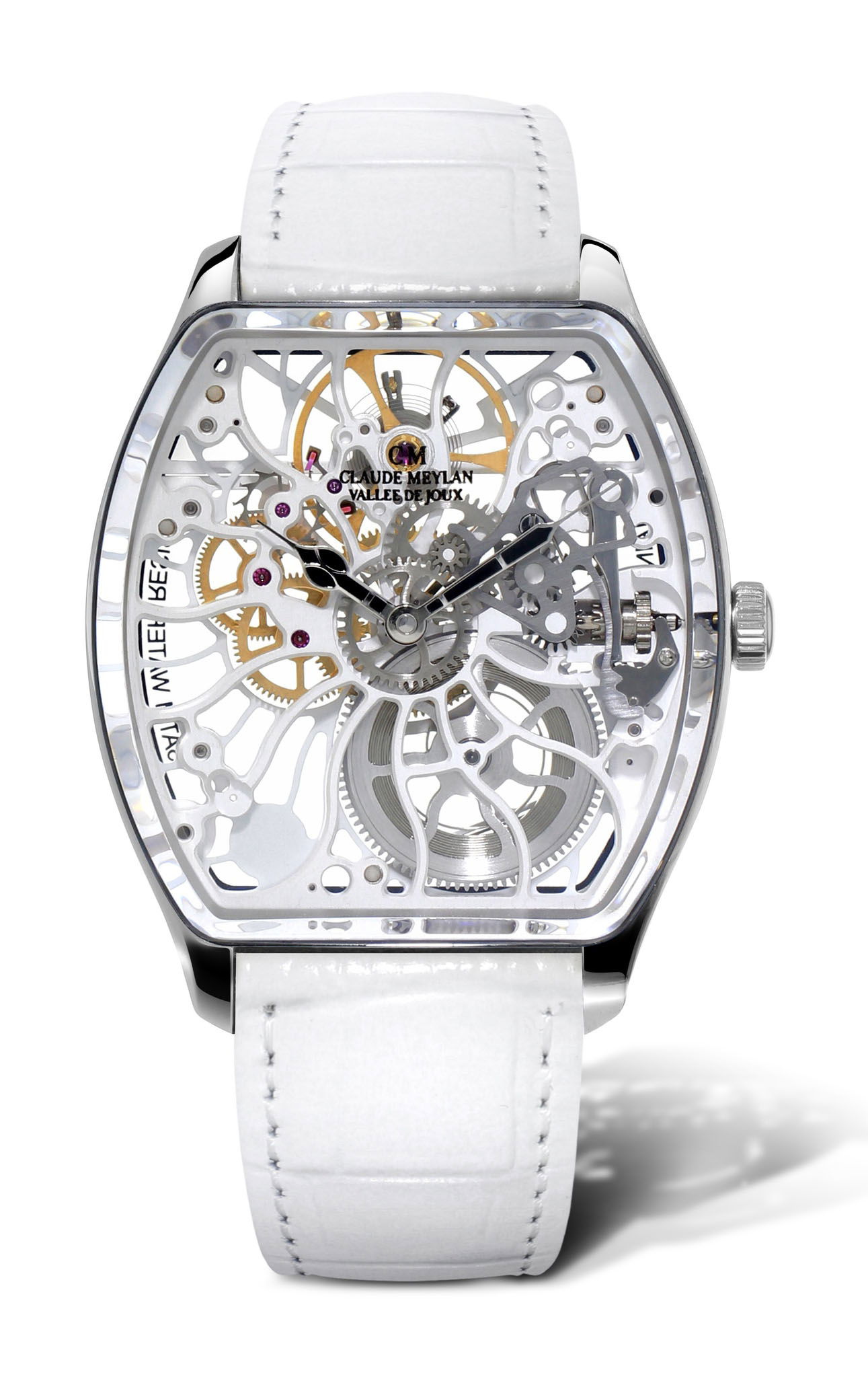 Claude Meylan Tortue