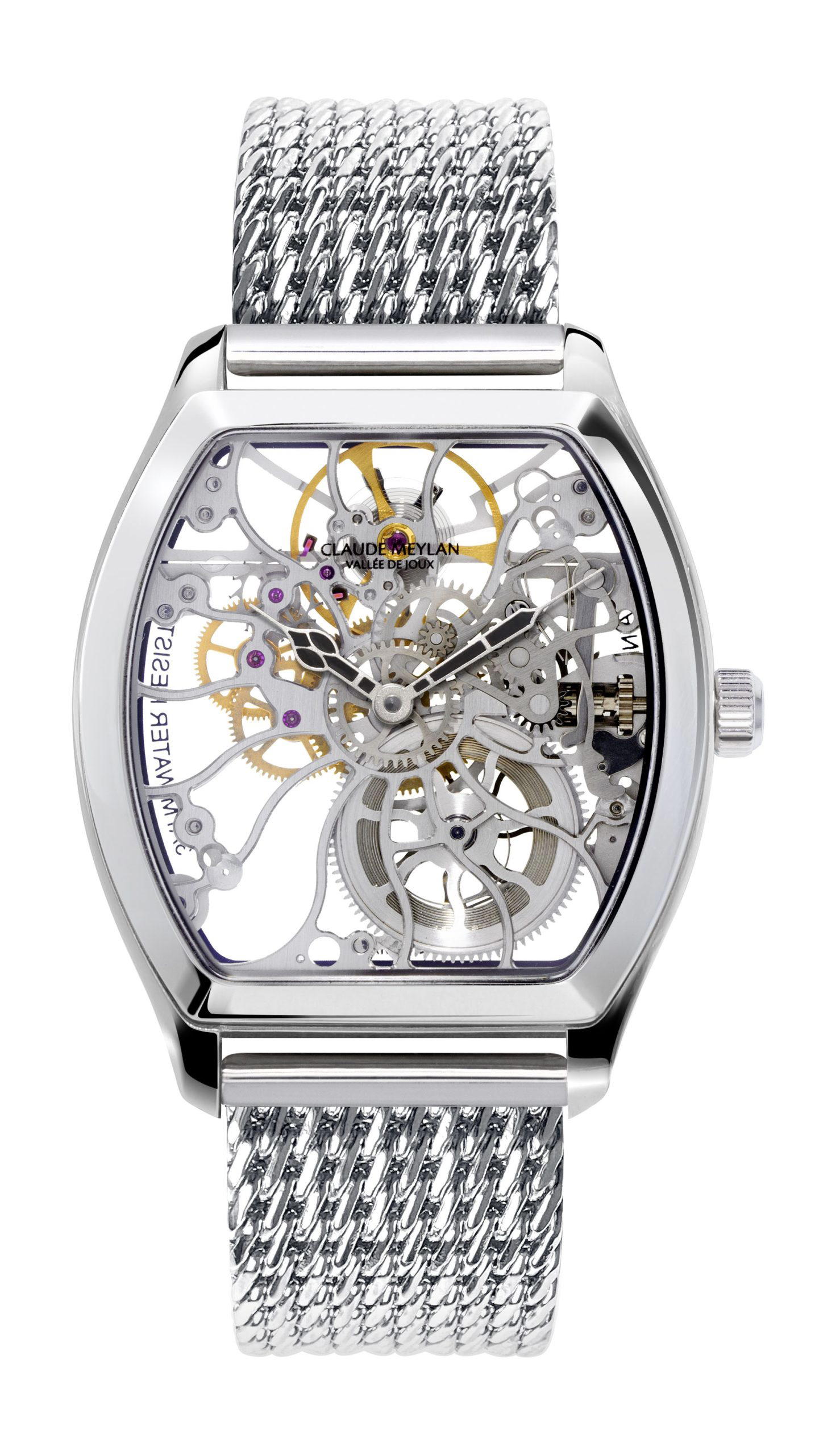 Claude Meylan Tortue