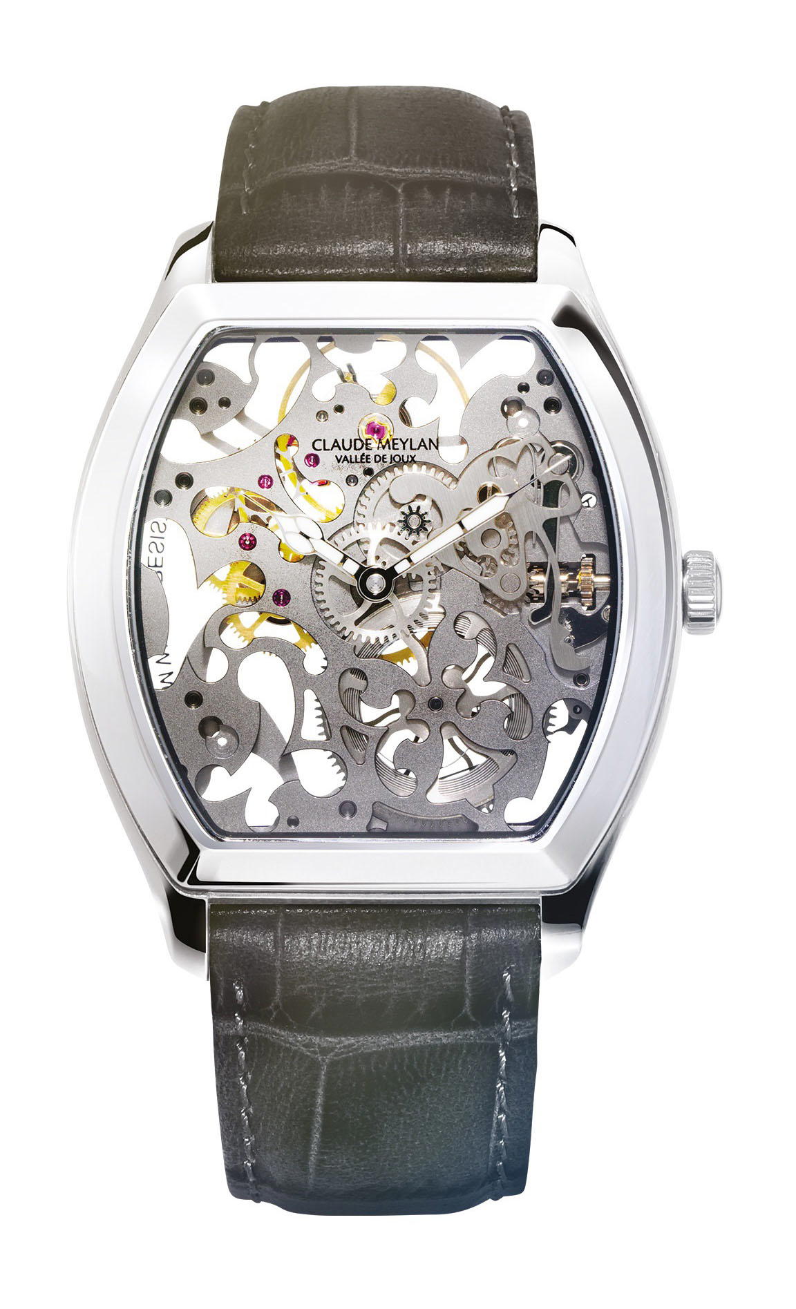 Claude Meylan Tortue
