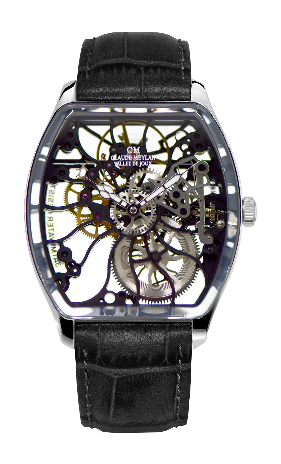 Claude Meylan Tortue