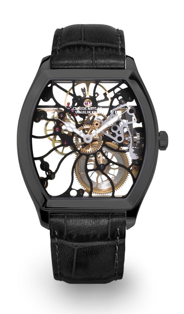 Claude Meylan Tortue Rainbow