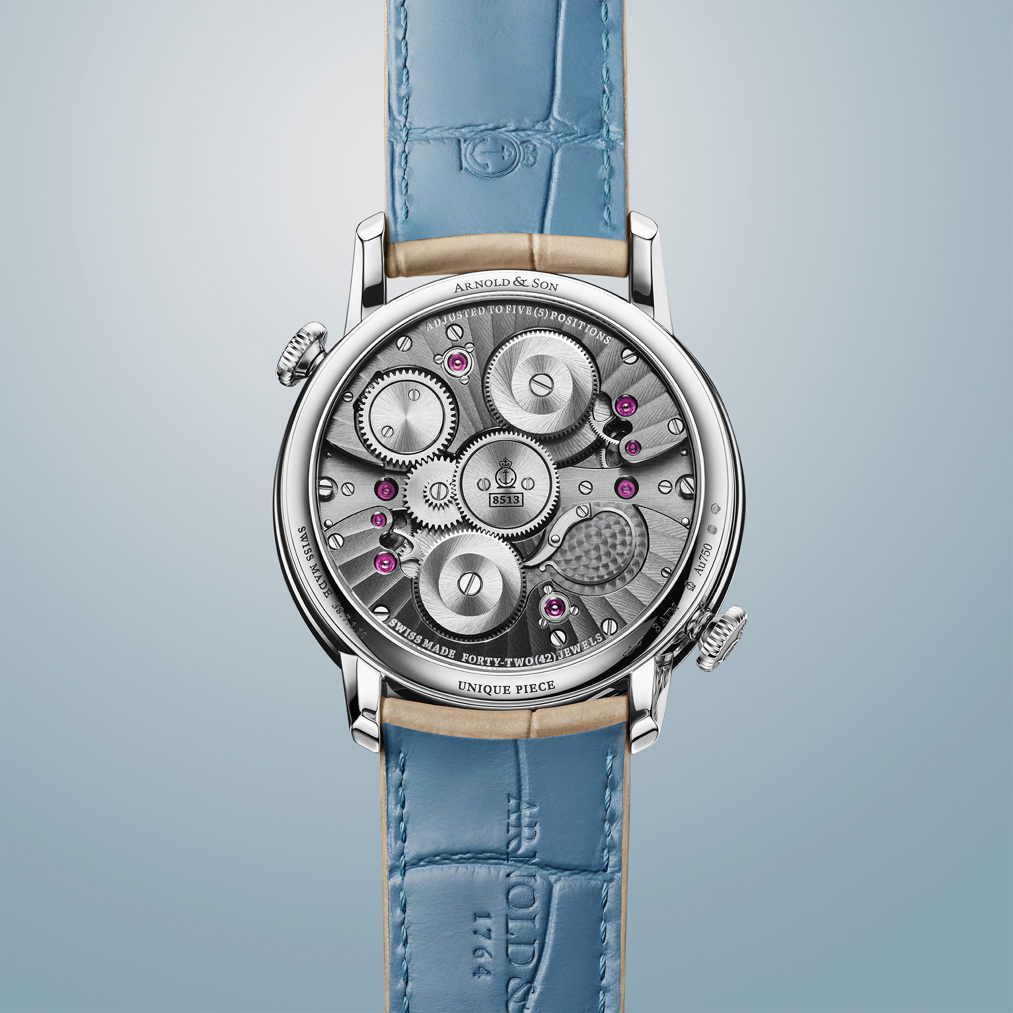 Arnold &amp; Son Arnold &amp; Son x Chronopassion Double Tourbillon « Landscape »