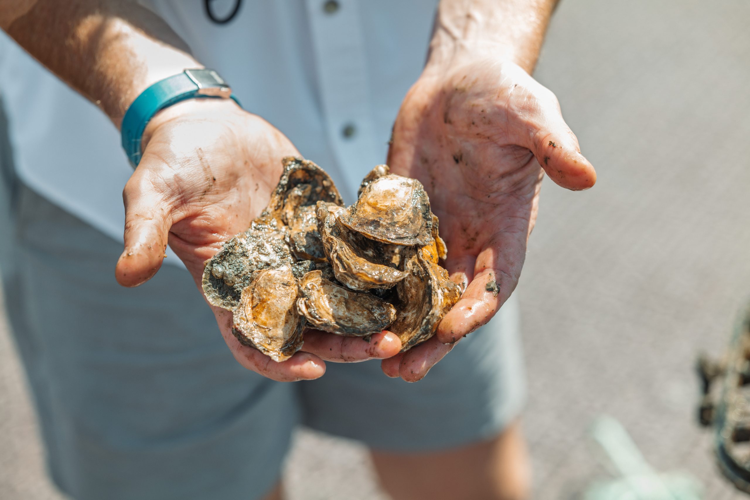 Oris New York Harbor Limited Edition II