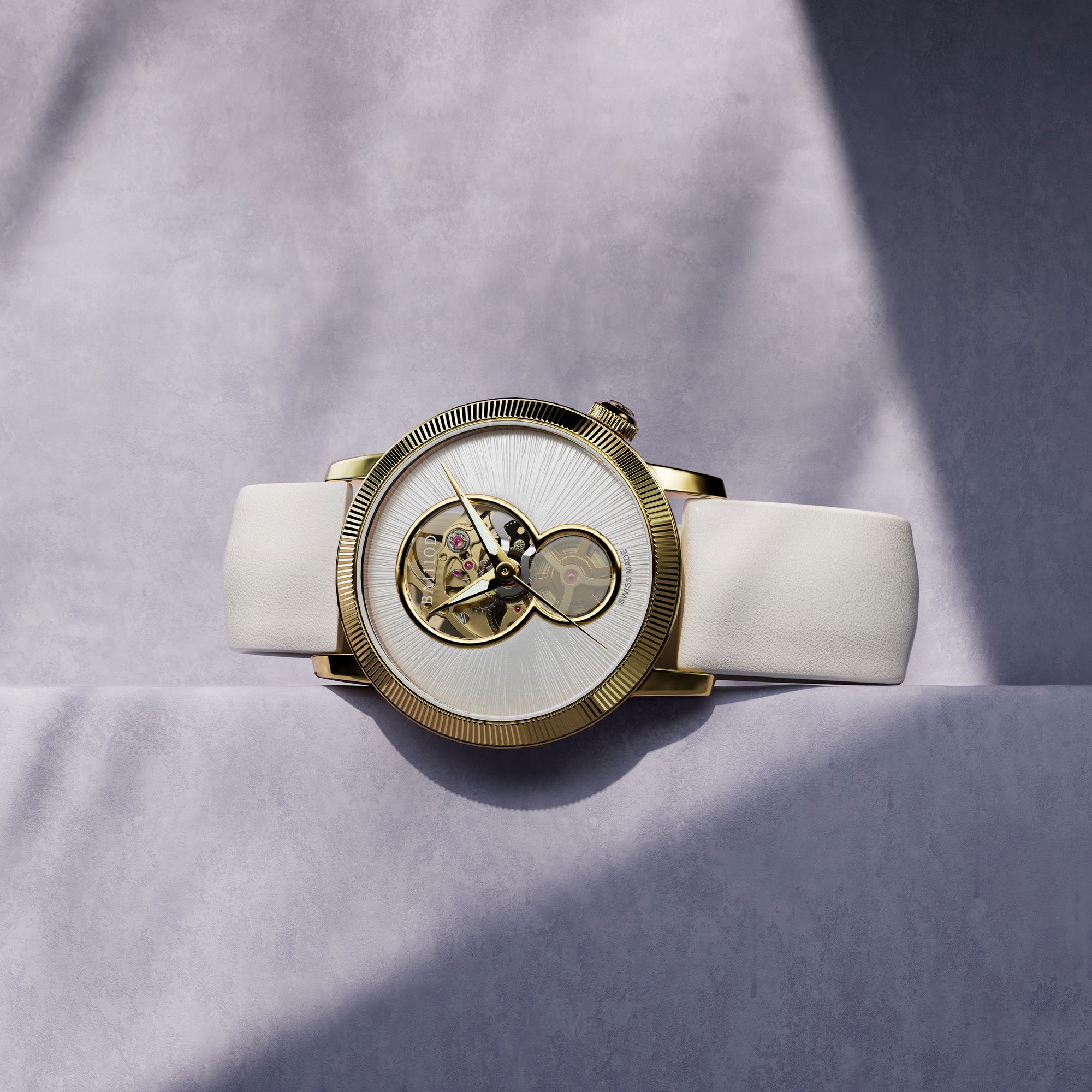 BA111OD Chapter 6.5 Giulia