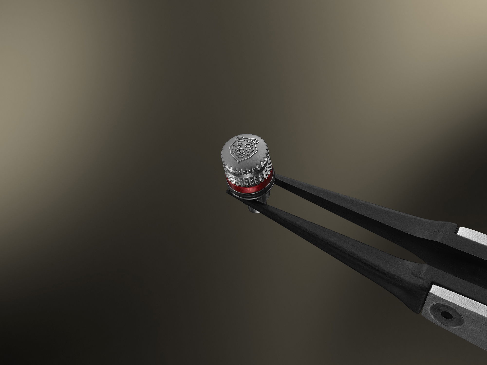 David Candaux DC12 MaveriK