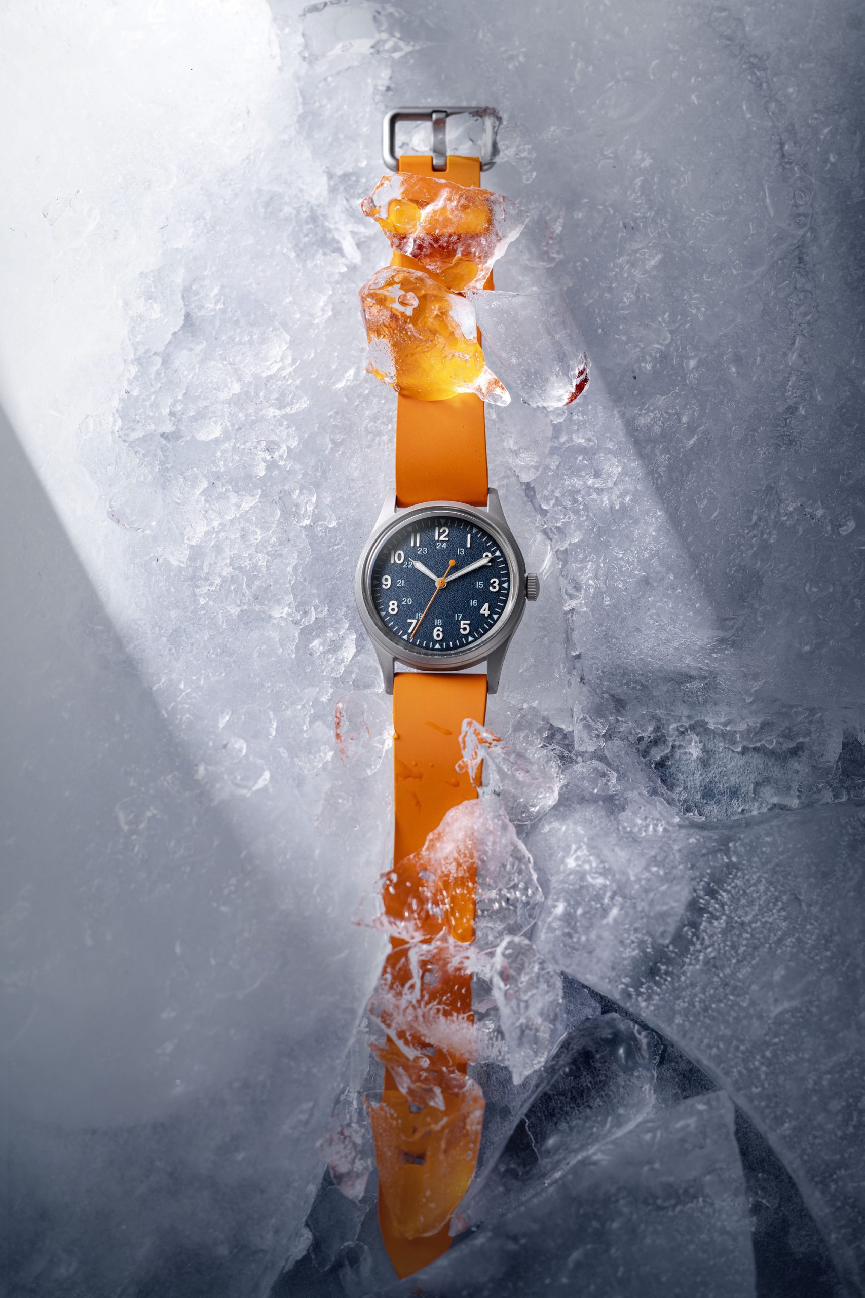 Praesidus Arctic Field Blue