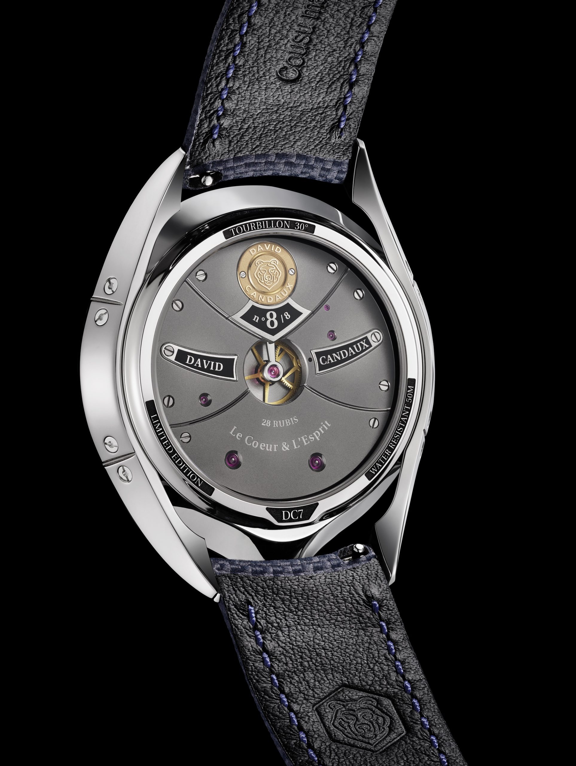 David Candaux DC7 Blue Hawk