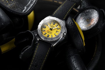 Delma Shell Star 41 Quartz Yellow