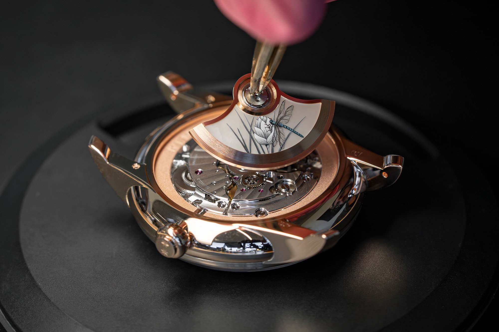 Jaquet Droz Petite Heure Minute Red Gold Japanese Garden – The